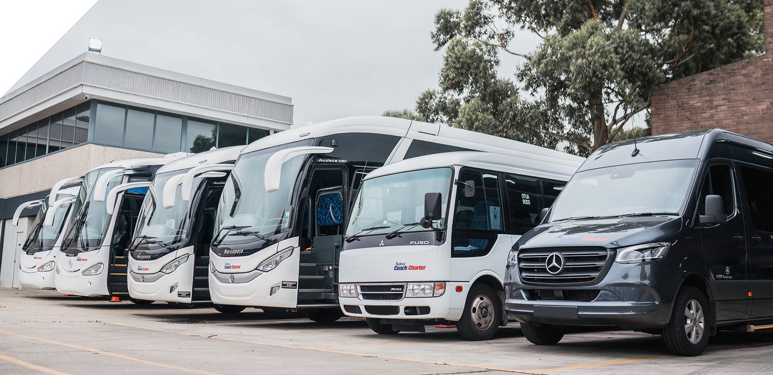Sydney Coach Charter coach fleet lined up at the depot